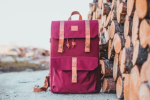Bolsos y complementos para mujer
